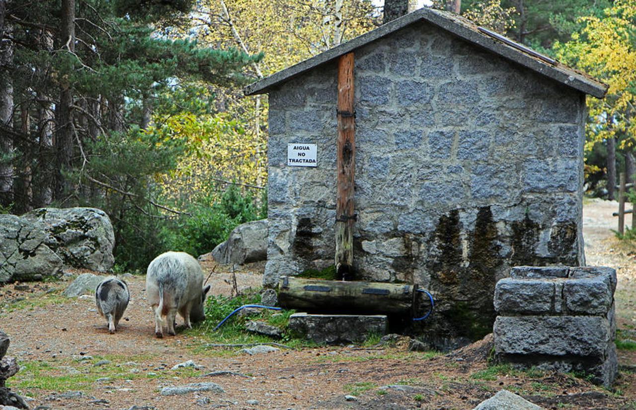Hotel Camp Del Serrat Escaldes Esterno foto